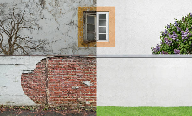 Best Mold Documentation for Insurance Claims  in Winona, MS