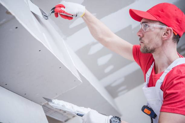 Best Asbestos and Lead Testing During Mold Inspection  in Winona, MS